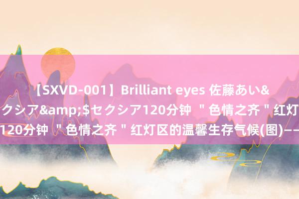 【SXVD-001】Brilliant eyes 佐藤あい</a>2006-11-01セクシア&$セクシア120分钟 ＂色情之齐＂红灯区的温馨生存气候(图)——中新网