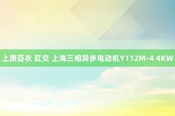 上原亞衣 肛交 上海三相异步电动机Y112M-4 4KW