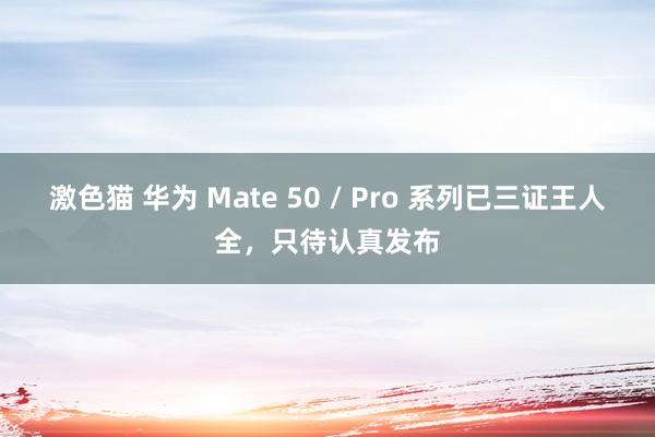 激色猫 华为 Mate 50 / Pro 系列已三证王人全，只待认真发布