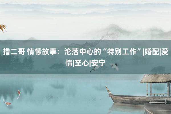 撸二哥 情愫故事：沦落中心的“特别工作”|婚配|爱情|至心|安宁