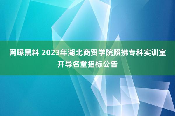 网曝黑料 2023年湖北商贸学院照拂专科实训室开导名堂招标公告