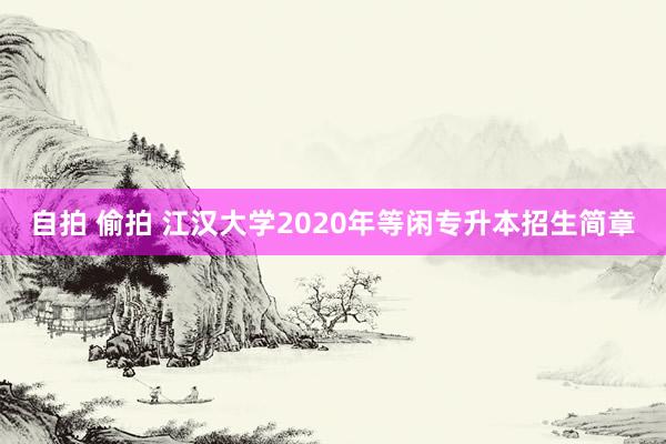 自拍 偷拍 江汉大学2020年等闲专升本招生简章