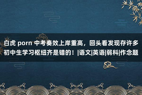 白虎 porn 中考奏效上岸重高，回头看发现存许多初中生学习枢纽齐是错的！|语文|英语|弱科|作念题