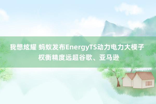 我想炫耀 蚂蚁发布EnergyTS动力电力大模子  权衡精度远超谷歌、亚马逊