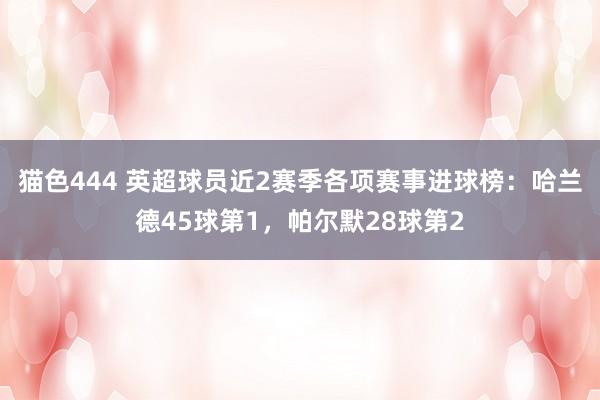 猫色444 英超球员近2赛季各项赛事进球榜：哈兰德45球第1，帕尔默28球第2