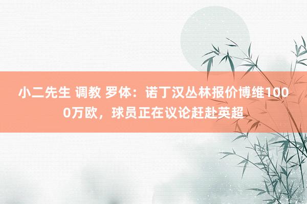 小二先生 调教 罗体：诺丁汉丛林报价博维1000万欧，球员正在议论赶赴英超