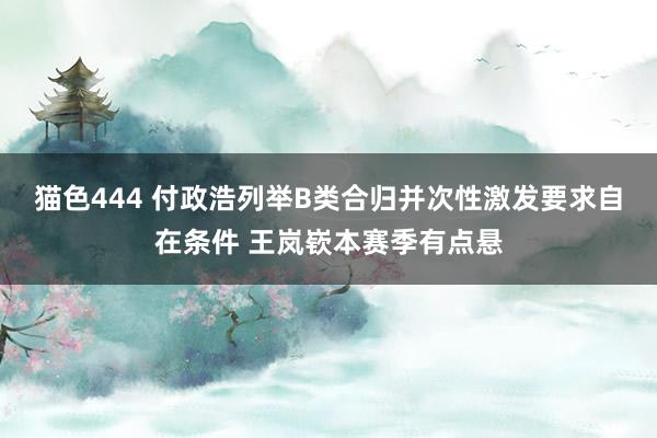 猫色444 付政浩列举B类合归并次性激发要求自在条件 王岚嵚本赛季有点悬