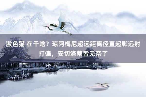 激色猫 在干啥？琼阿梅尼超远距离径直起脚远射打偏，安切洛蒂皆无奈了