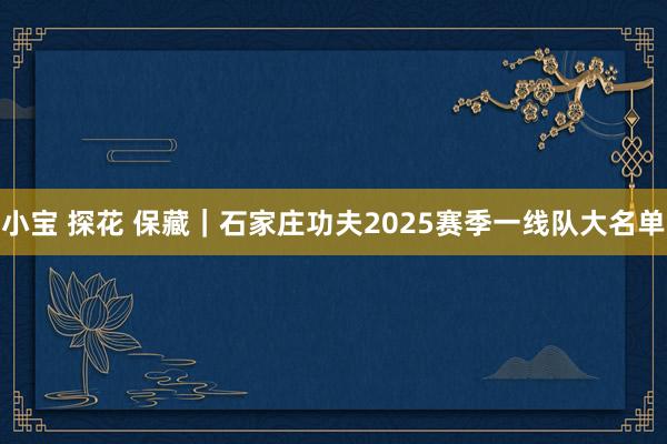 小宝 探花 保藏｜石家庄功夫2025赛季一线队大名单