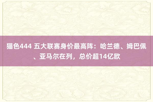 猫色444 五大联赛身价最高阵：哈兰德、姆巴佩、亚马尔在列，总价超14亿欧